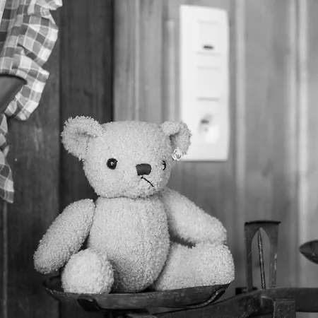 D'hotes Les Hautes Papinieres